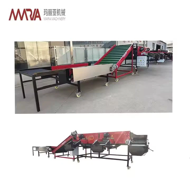 Fruit And Vegetable Grading Machine Roller Bar Type Grader For Apple Potato Onion Grading Sale