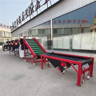Bester Preis Knoblauchverarbeitungslinie Automatisches Peeling Sortieren waschen multi funktional kommerzieller nutzung Knoblauchsortierer
