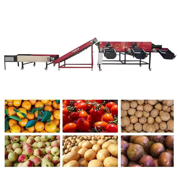 Fabrikpreis Automatisches Obst Gemüsesorting Apfelkartoffel Tomate Orange Avocado Zwiebel -Waschgröße Waagemaschine