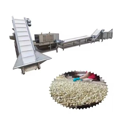Knoblauchpulverproduktionslinie Knoblauchverarbeitungsanlage 100-1000 kg Knoblauchverarbeitungsmaschine