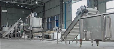Produktionslinie für geschälten Knoblauch 1000 kg/h