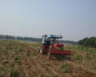 Single Knoblauch Harvester